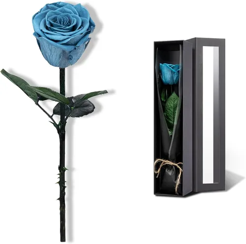 Vista 8 de Flores para Entrega Prime, Rosas Preservadas Regalos de Flores para Mujeres, Rosas Reales Regalos de Rosa Individual para Ella, Regalos