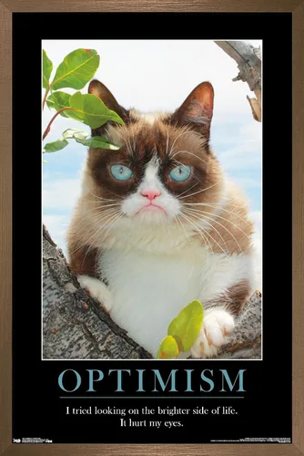 Vista 14 de Trends International Grumpy Cat - El Lado Más Brillante Póster de Pared, 14.725 x 22.375 pulgadas, Versión Enmarcada de Madera de Granero