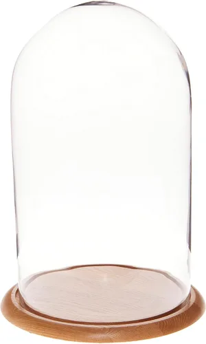Vista 6 de Plymor 11.75" x 20" Pantalla de cristal Dome Cloche (base de nogal)
