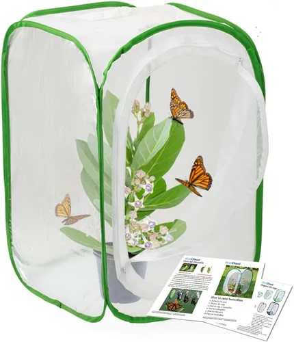 Vista 7 de RESTCLOUD Jaula de hábitat para insectos y mariposas con protección de cremallera, 12 x 12 x 12 pulgadas