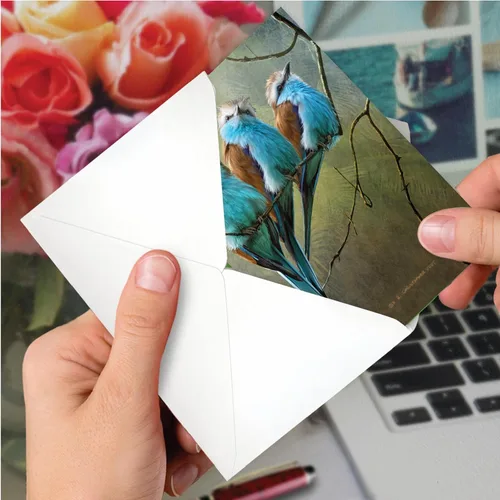 Vista 6 de NobleWorks - Tarjeta de felicitación Miss You con sobre de 5 x 7 pulgadas (1 tarjeta) Thinking of You, Just Because Birds and Branches C2822KMYG