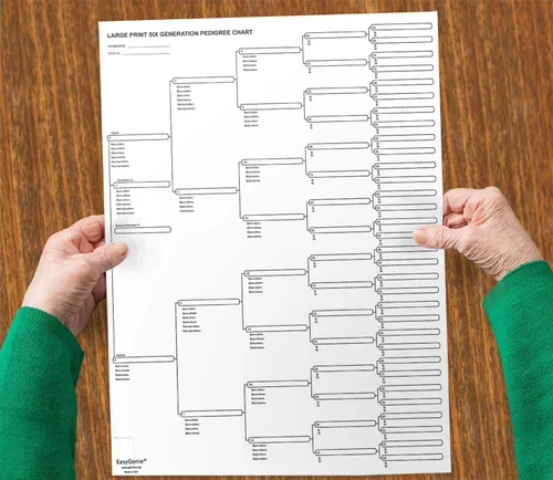 Vista 5 de EASYGENIE Paquete de genealogía de letra grande para personas mayores