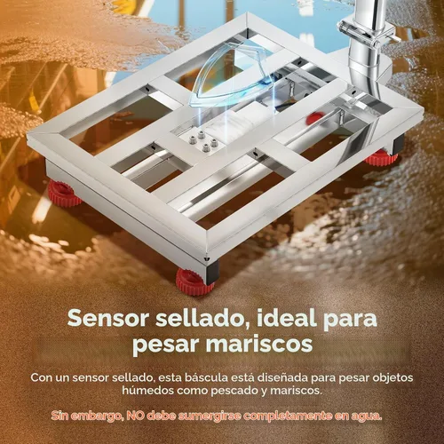 Vista 3 de Bonvoisin Báscula digital de plataforma con plataforma de acero inoxidable, 660 libras, báscula de piso de almacén resistente para pesaje