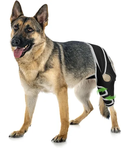 Vista 10 de Rodillera para perros pequeños, estabilidad de rodilla y soporte activo, talla S Provides comfortable knee support for dogs with joint weakness
