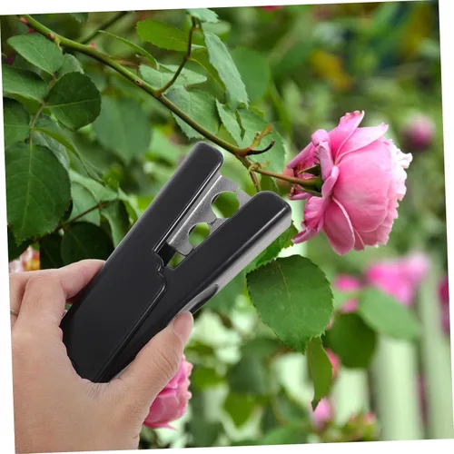 Vista 8 de Abaodam Removedor de espinas y alicates para quitar espinas, removedor de espinas de hojas de rosa, herramienta de extracción de espinas y hojas