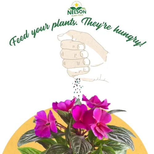 Vista 9 de Nelson Plant Food - Fertilizante NutriStar Hibiscus - Alimento para plantas de interior y exterior - Fertilizante de hibisco tropical para todas