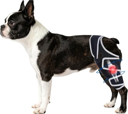 Vista 10 de Dog Knee Brace for Torn Acl Hind Leg, Relieves Ligament Injury and Joint Pain, Adjustable Leg Support Bracket for Warmth and Support, Universal Dog