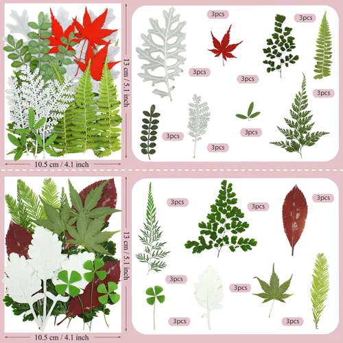 Vista 6 de 92 hojas de flores secas prensadas para moldes de resina, manualidades de bricolaje