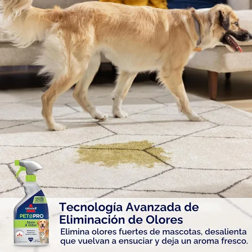 Vista 5 de Bissell Pet Pro Eliminador de manchas y olores con acción enzimática, paquete de 2, 77X7F
