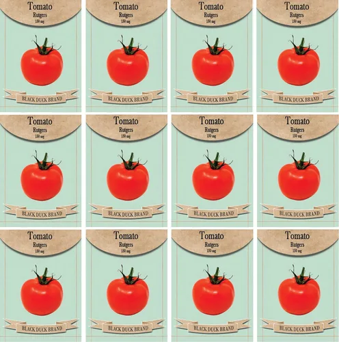 Vista 21 de Juego de 12 paquetes de semillas de verduras de roqueta de rúcula, crea un jardín de lujo, todas las semillas son reliquias, 100% sin OMG