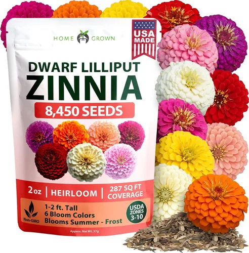 Vista 171 de HOME GROWN Bachelor Button Tall Mix 700+ Semillas de flores Centaurea