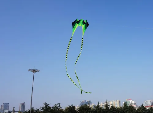 Vista 4 de Besra Cometa grande de rana fluida de diamante 3D de una sola línea con 2 colas largas, deportes divertidos al aire libre para niños y adultos