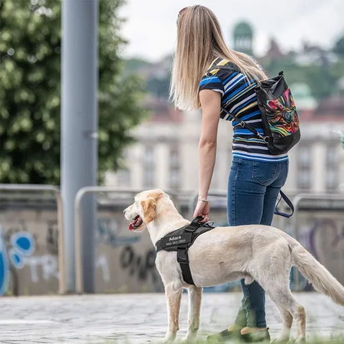 Vista 6 de HOTGOL Arnés personalizado para perro, chaleco personalizado sin tirones para mascotas con nombre y número de teléfono para evitar tirones, tirones