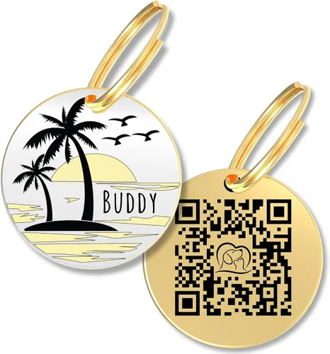 Vista 15 de PawFurEver Placa para perro con código QR – Etiquetas de identificación personalizadas para perros, etiqueta de perro grabada y etiqueta para Oro