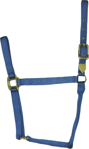 Vista 13 de Hamilton Caballo de nailon de 1 pulgada, tamaño pequeño (500-800 libras), azul baya