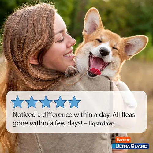 Vista 5 de Hartz UltraGuard Aerosol para Perros contra Pulgas y Garrapatas, Mata y Repele Pulgas y Garrapatas, 16 Onzas