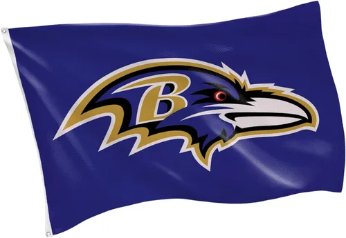 Vista 21 de Bandera de casa al aire libre duradera de 3 x 5 pies de los Arizona Cardinals de la NFL con ojales Bandera y cartel del equipo deportivo Bandera