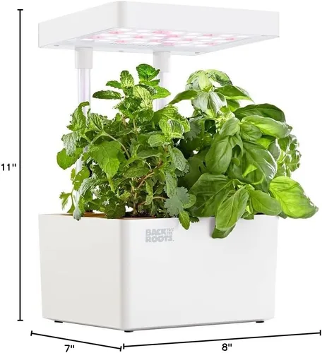 Vista 5 de Back to the Roots v1.0 Kit de cultivo hidropónico, Modelo 2022