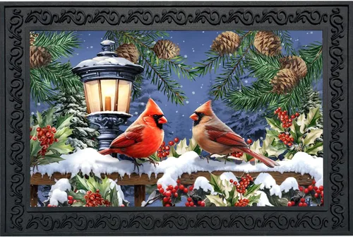 Vista 18 de Briarwood Lane - Felpudo de pájaros del invierno con cardenales
