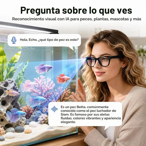 Vista 5 de Gafas inteligentes AI con cámara, captura HD de 13 MP, 4K EIS, lentes
