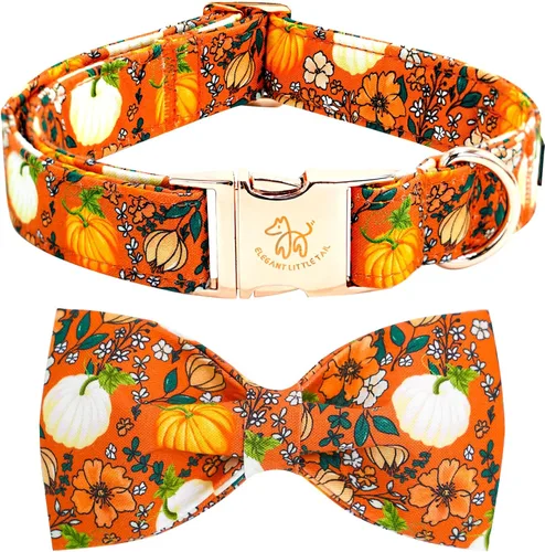 Vista 23 de Elegant little tail - Collar de otoño para mascotas con corbatín, lindo collar de Halloween con estampado de flores y calabaza para cachorros