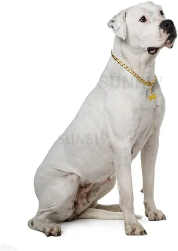 Vista 5 de SUNEW Collar para caminar con diseño de placa de identificación de perro con hebilla segura, collar de cadena de eslabones cubanos resistente a