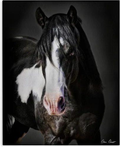 Vista 14 de Retrato de caballo semental negro' Arte en lienzo