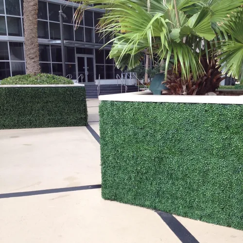 Vista 8 de Greensmart Décor - Juego de 4 alfombrillas artificiales de boj Ficus de 20 x 20 pulgadas