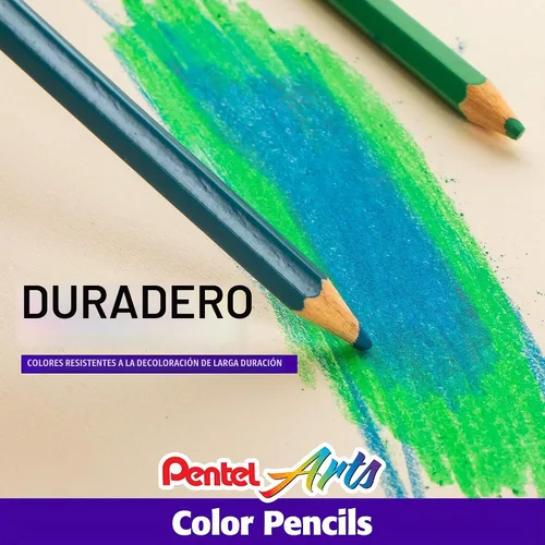 Vista 5 de Pentel Arts - Lápices de colores, colores surtidos, paquete de 36 (CB8-36)