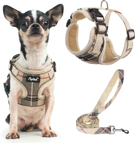 Vista 66 de PUPTECK Juego de arnés y correa de malla suave para perro, cachorro y gato, cómodo chaleco acolchado sin tirones, azul Pascua, S