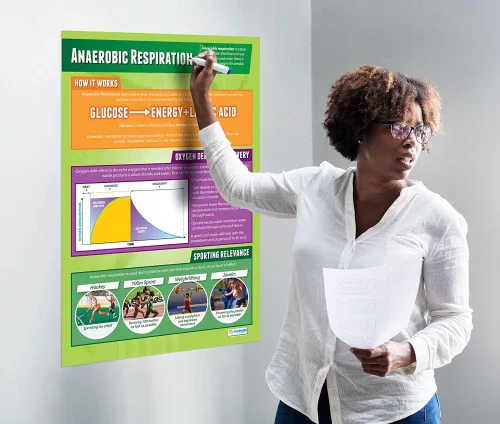 Vista 3 de Daydream Education Respiración anaeróbica Pósteres de PE Papel laminado brillante que mide 33 x 23.5 pulgadas Gráficos de educación física