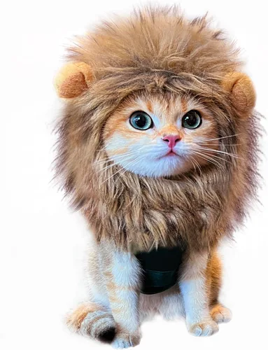 Vista 8 de Peluca de melena de león para disfraz de gato, ajustable, lavable, cómoda, elegante, pelo de león, vestido de ropa de gato para Halloween, Navidad