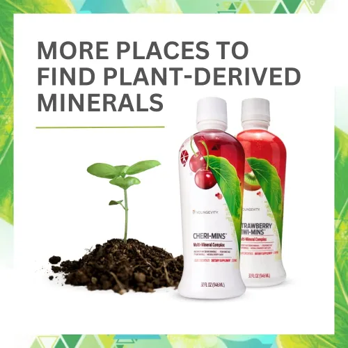 Vista 5 de Youngevity Minerales líquidos derivados de plantas, más de 77 minerales naturales sin alterar, 19,000 mg de sólidos minerales vegetales, esquisto