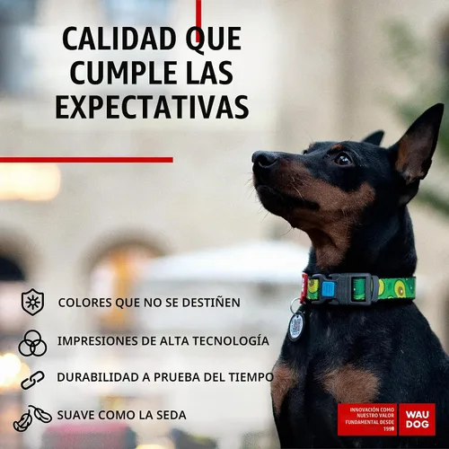 Vista 4 de WAUDOG Collar de nailon para perros – Collar ajustable para perros grandes, pequeños y medianos – Collares de cachorros para perros de razas grandes