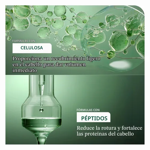 Vista 3 de Biolage Volume Boost Set – For Fine Hair