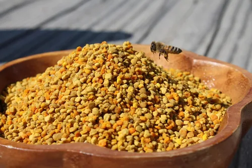 Vista 4 de Fresh Bee Polen Raw Nebraska Bee Polen Jarra de 1 galón (6 libras)
