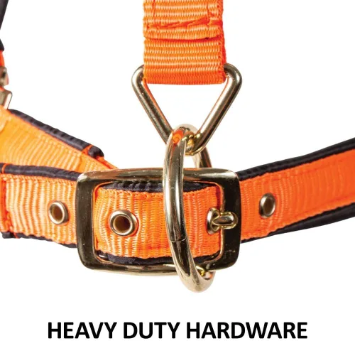 Vista 5 de Dura-Tech Cabestro de caballo totalmente acolchado de lujo Superposición de tela de nailon de doble capa de 1 pulgada Hardware resistente