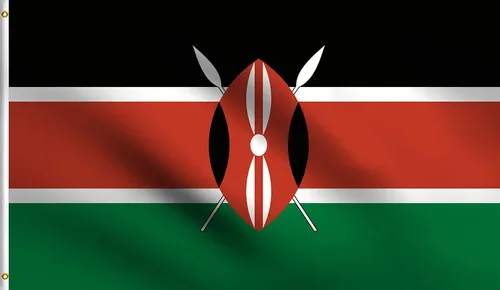 Vista 58 de DMSE - Bandera nacional beninesa beninesa de la República de África Occidental, 2 x 3 pies, 100 % poliéster, 100 % poliéster, resistente a los rayos