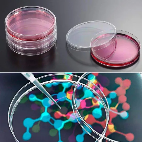 Vista 6 de MEETOOT 10 piezas de plástico desechables Petri Dish 3.543x0.591 in con 5 pipetas de transferencia de plástico grueso de 0.1 fl oz para proyectos