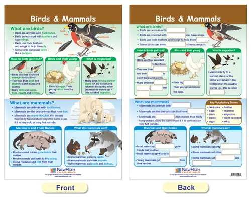 Vista 3 de NewPath Learning -94-1501 All About Animals - Juego de tablones de anuncios (paquete de 5)