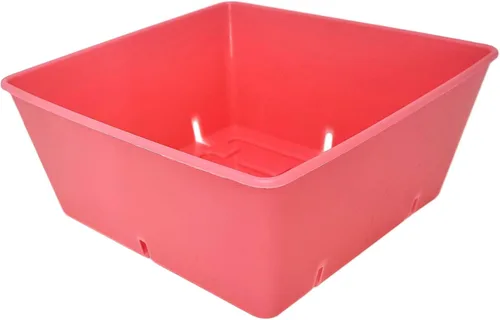 Vista 6 de Bootstrap Farmer Paquete de 40 bandejas de cultivo de 5 x 5, insertos extra gruesos para microverdes, pasto de trigo y propagación de plántulas