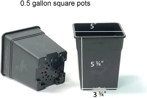 Vista 2 de Macetas cuadradas de plástico de 0.5 galones para plantas de interior y exterior, paquete de 10 con agujeros de drenaje, macetas de vivero de 5