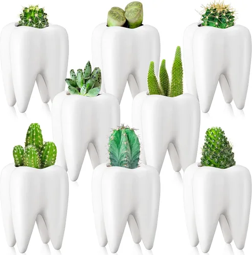 Vista 10 de 2 macetas en forma de dientes, de cerámica dental, estilo moderno, macetas de cactus blanco, para bonsái, maceta pequeña y bonita para suculentas