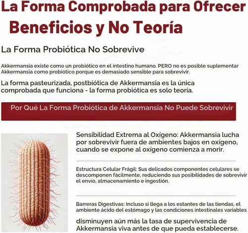 Vista 5 de AK-Postbio: Akkermansia Probiotic 30 mil millones de TFU - Fuerza máxima, dosis clínicamente validada y cepa patentada - Forma pasteurizada