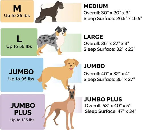 Vista 6 de Furhaven - Cama para perro de espuma viscoelástica, estilo diván en forma de L, de felpa y estampado de almendras, almendras azules, talla jumbo