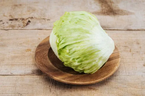 Vista 2 de Semillas Vegetales Crisphead Lechuga Iceberg Hoja Crujiente Heirloom para Ensaladas - 1000 Semillas