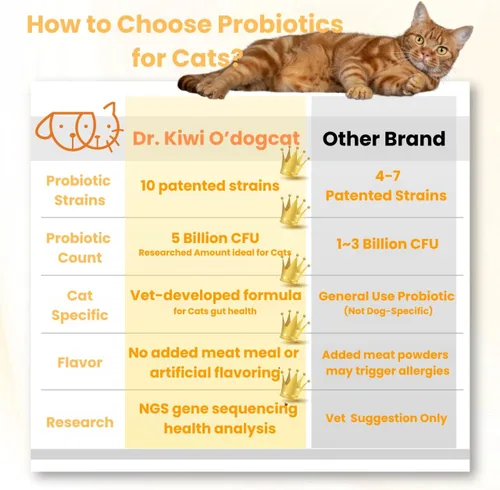 Vista 8 de Dr. Kiwi O'dogcat Probióticos para gatos Apoya la salud intestinal, la diarrea, la salud digestiva y las alergias estacionales