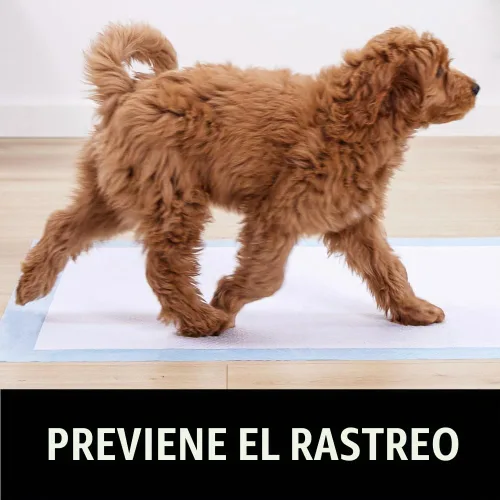 Vista 5 de Almohadillas desechables para cachorros Gorilla Guard, 150 unidades de 28x34 pulgadas, almohadillas de 5 capas para orina de perros, almohadilla