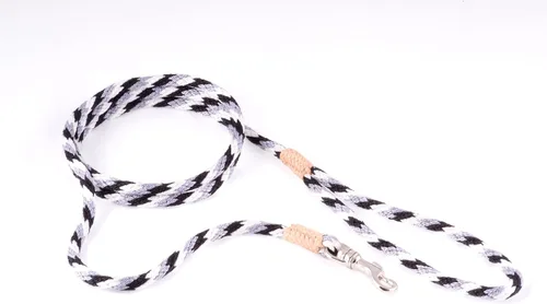 Vista 246 de Alvalley Correa para perros estilo broche – Correa de nailon estilo broche para perros – Fácil de manejar – Perfecto para perros pequeños, medianos