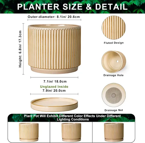 Vista 2 de 8 Inch Flower Pot, Ceramic Planters, Round Plant Pot, Beige